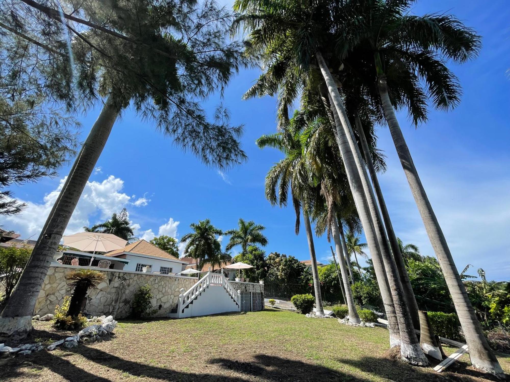 Peaceful Palms Montego Bay Hotel Exterior photo